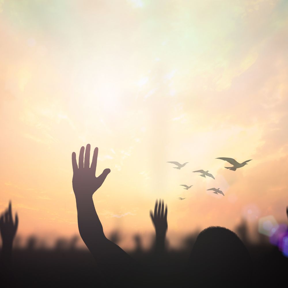 Our Origin: Why Were We Created?