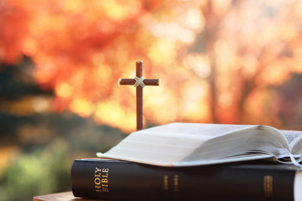 How Did We Get the Bible We Have Today?