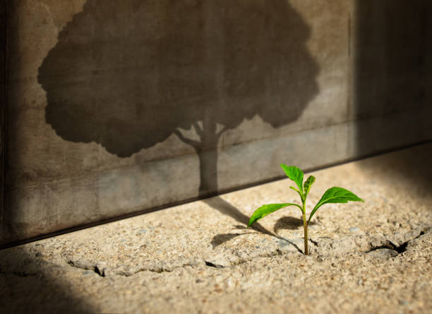 Scriptures to Grow Your Faith