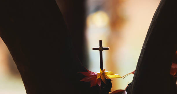 Heartbreaking Moments on Jesus’ Journey to the Cross