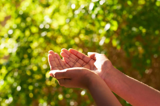 What is heaven like?