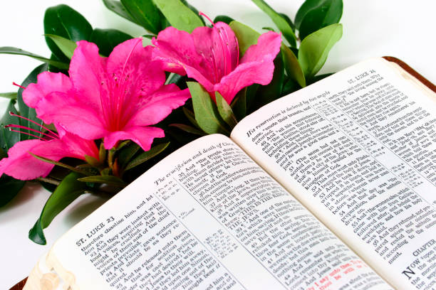 : Peace in Pressure – Scriptures for the Anxious Mind