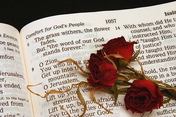 Living in Ongoing Healing and Wholeness