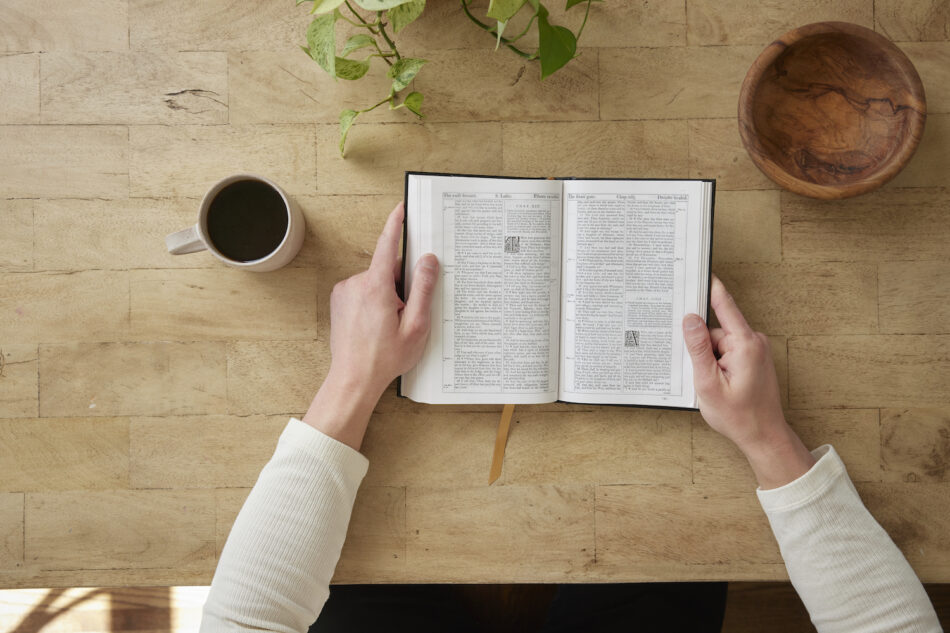 Was Jesus Christ Vegan? Will We Be Vegan in Heaven?