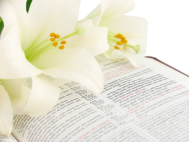 Bible Verses about Life