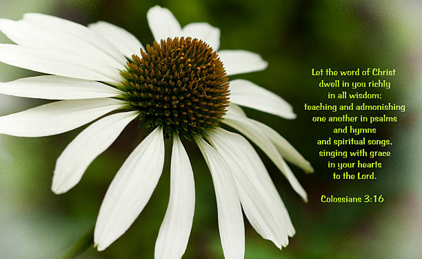 Top 50 Most Popular Bible Verses from Scripture