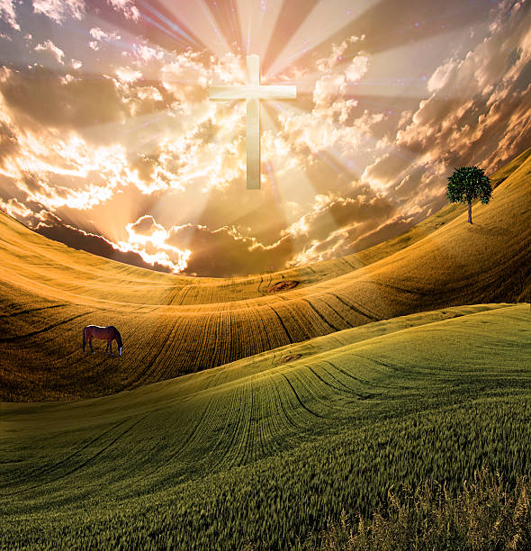 Explore the 6-step journey of Christ's return—prophecy, signs, rapture, and the final invitation to salvation. Understanding the Promise and Purpose of His Return