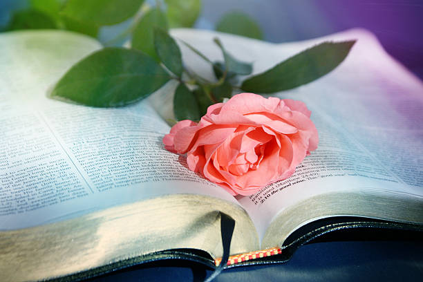 10 Scriptures to Read When You’re Frustrated (KJV)