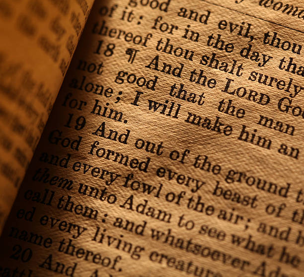 Read These 20 Verses When You Are Exhausted