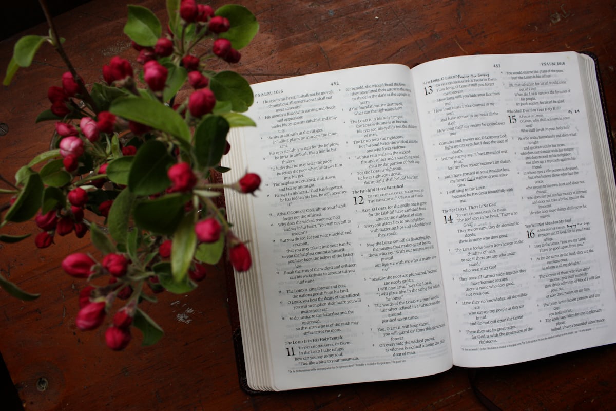 Top 50 Most Popular Bible Verses from Scripture