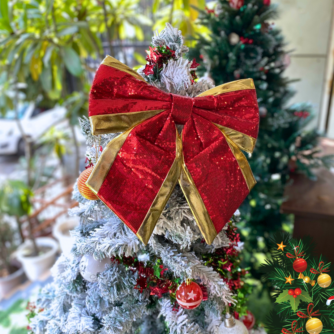 10 Important Reasons to Celebrate Christmas