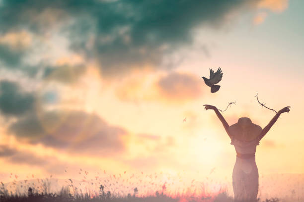 Amazing Bible Verses For Anxiety