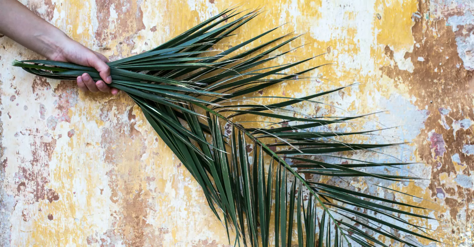 Why Did the People Welcome Jesus to Jerusalem on Palm Sunday?